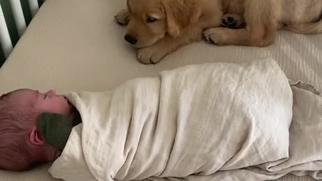 Bffs in the making 🐶💙