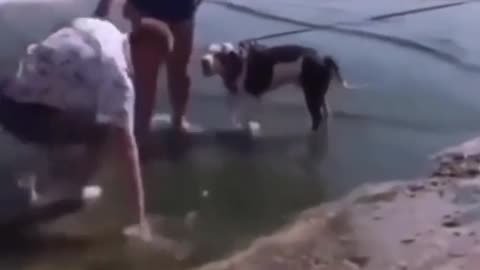 marriage proposal goes wrong😂