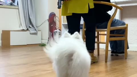 Nico: mom, you hit me!