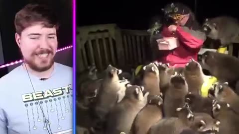 Funny pets| rare pets| funny pets| pets in the world
