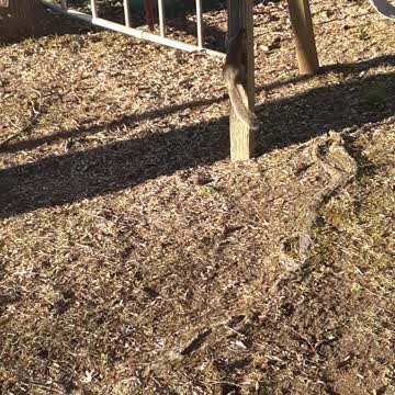 Stripe is Getting Better