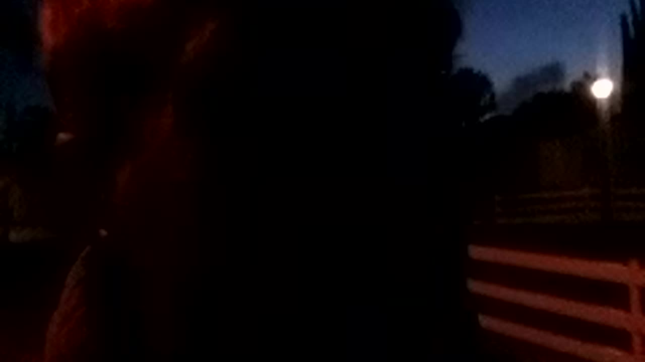 Wed, Apr 19, 2023, 8:04pm (finish), Derek Kube.