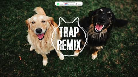 Happy Dog Trap Remix Song # BEST TIKTOK SONG 2021