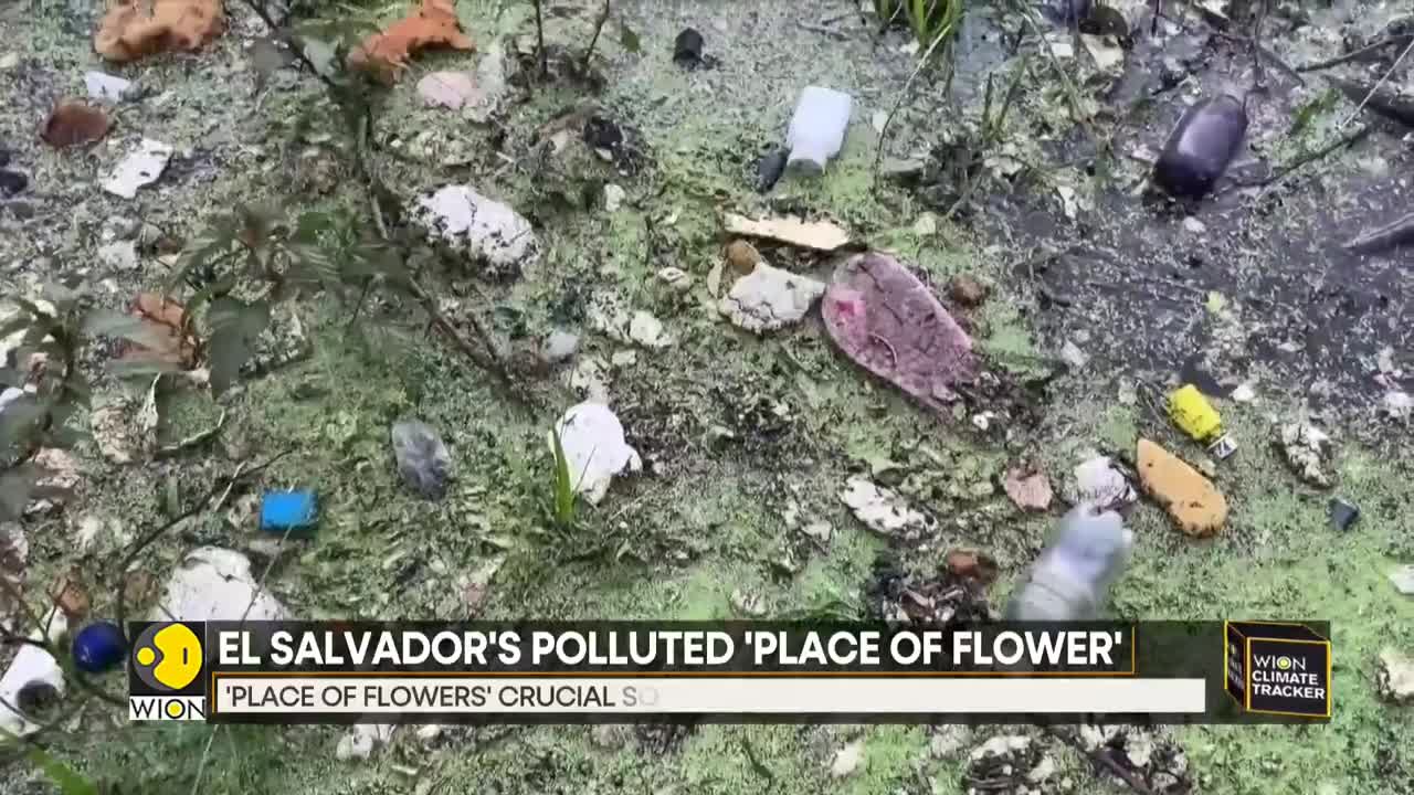 El Salvador's biggest lake, Suchitlan, swamped by trash| English News| WION