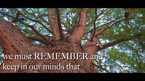 Motivational Video