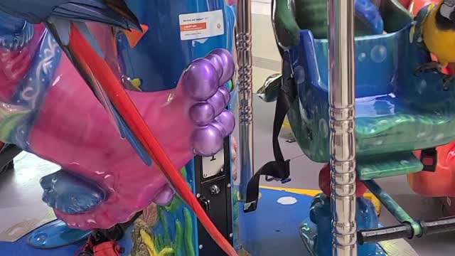 Curious Birds Enjoy Carousel Ride