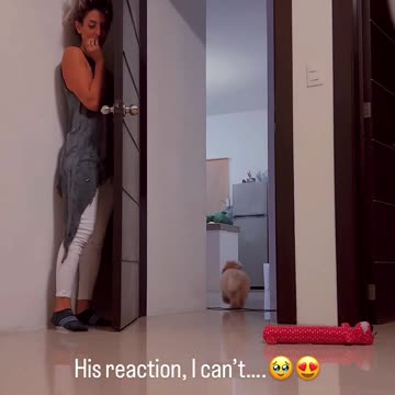 I pranked my puppy. 😄😂