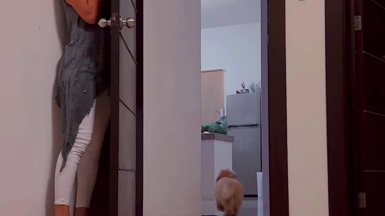 I pranked my puppy. 😄😂