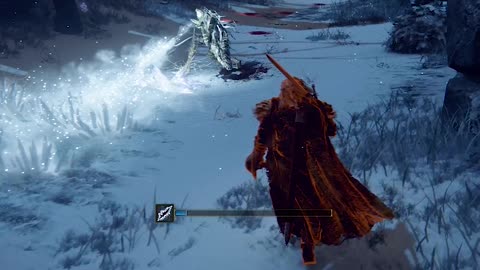 Parry challenge GONE WRONG ELDEN RING