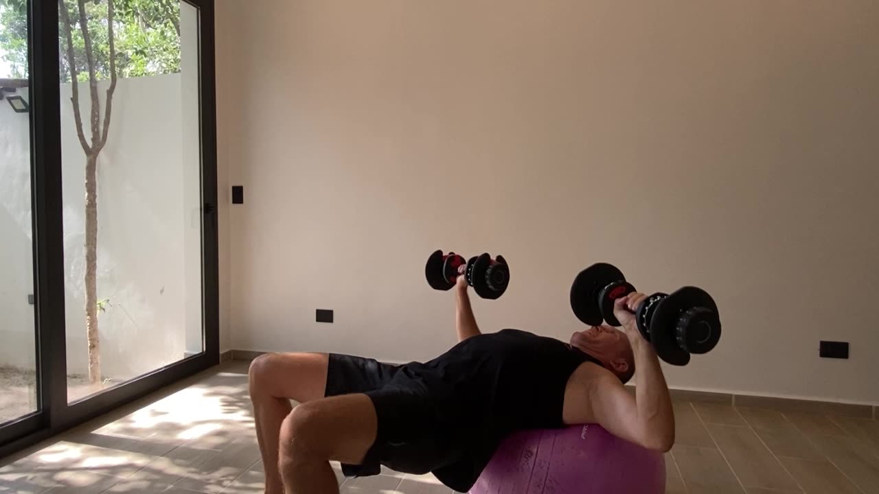 Chest Press - Dumbbells