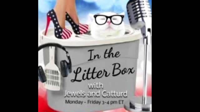 Killary - In the Litter Box w/ Jewels & Catturd 2/15/2022 - Ep. 20