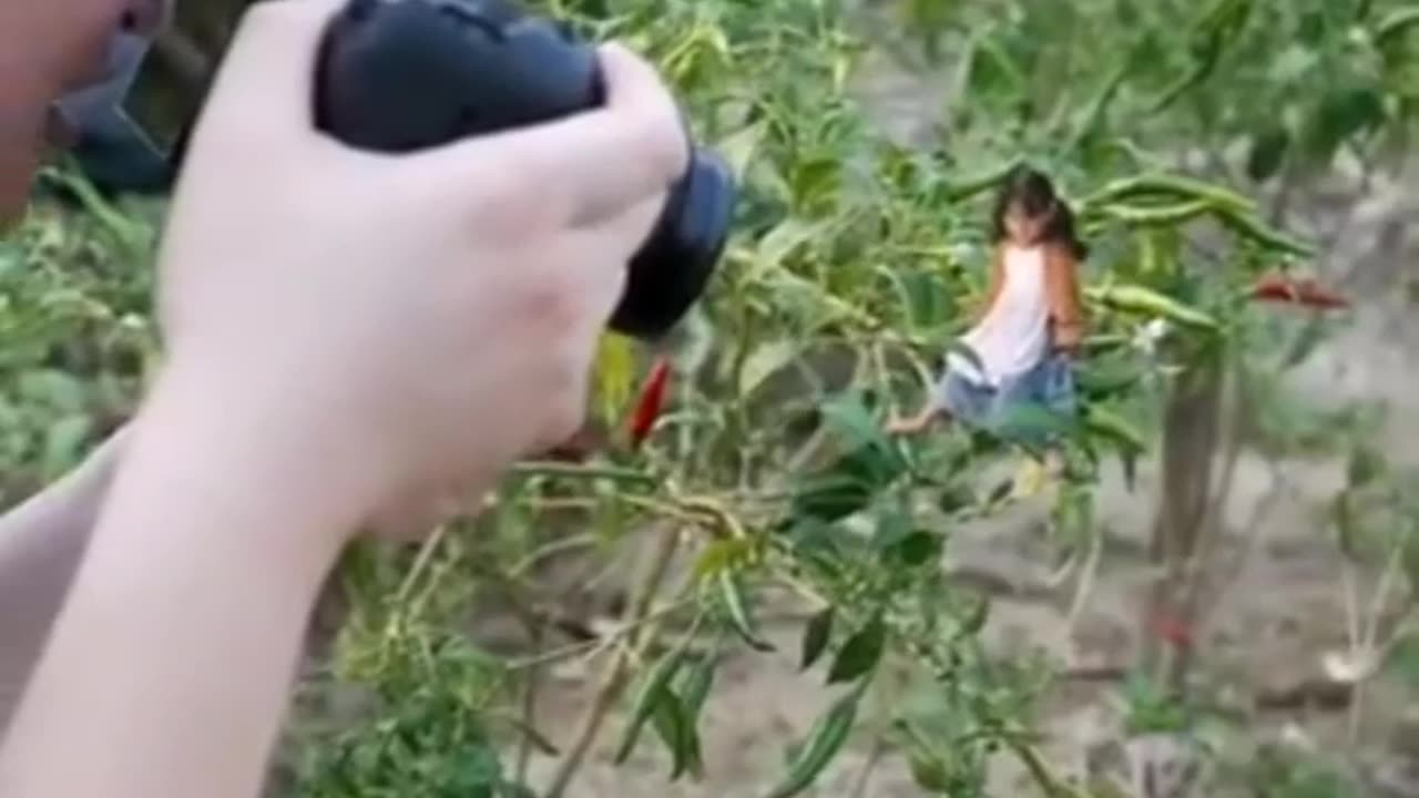 Photography technique