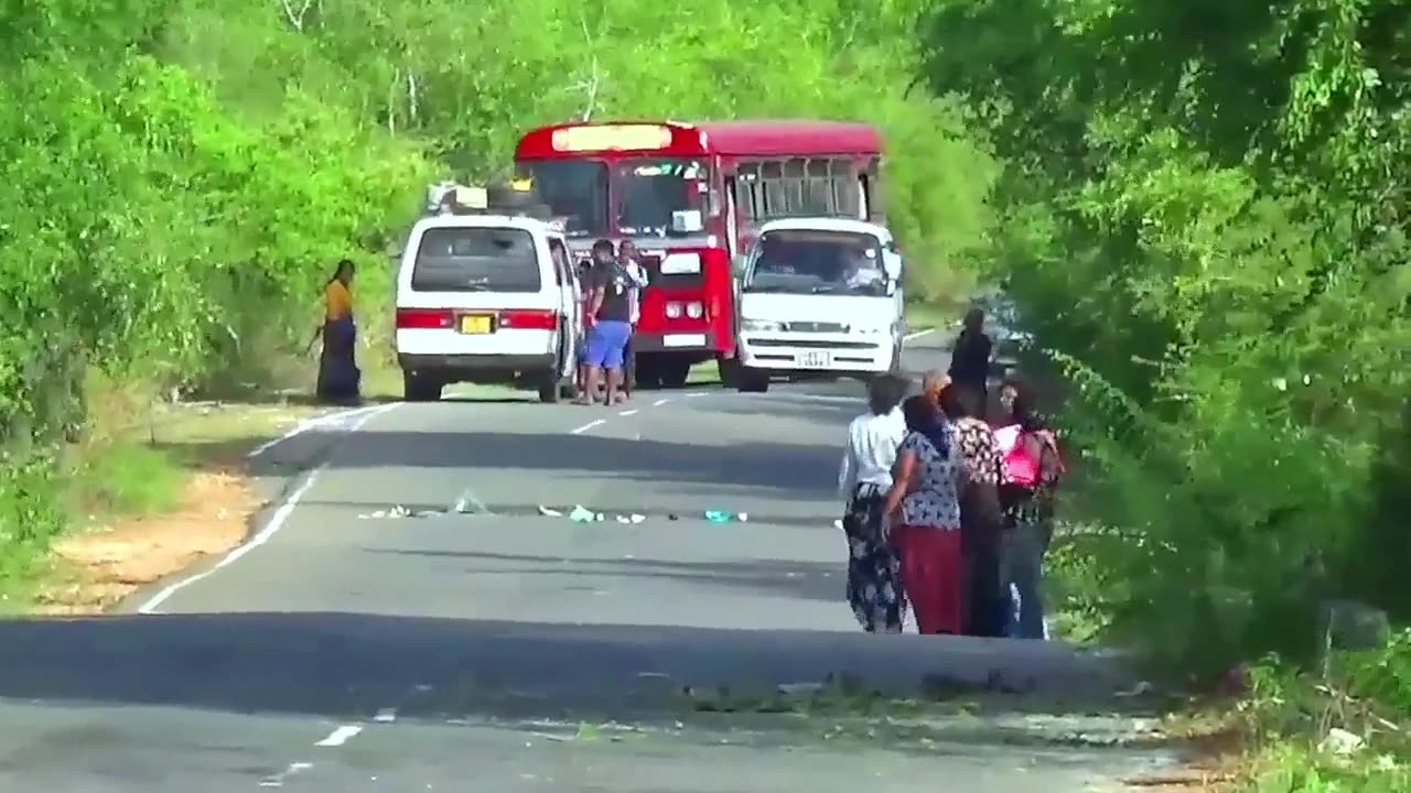 Angry Elephant on Road