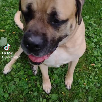 Meet Paris Also Melania Discuss