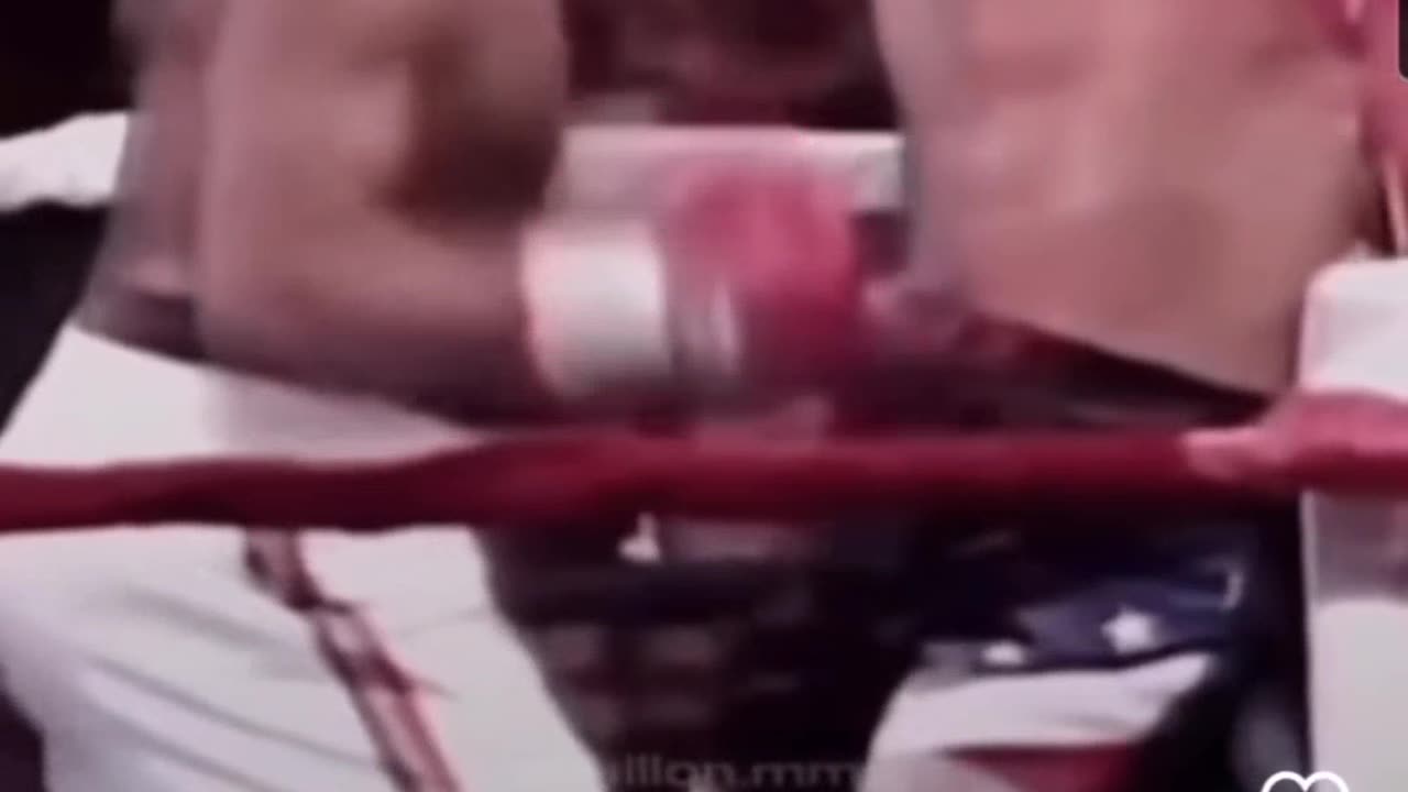 Greatest fight ever?