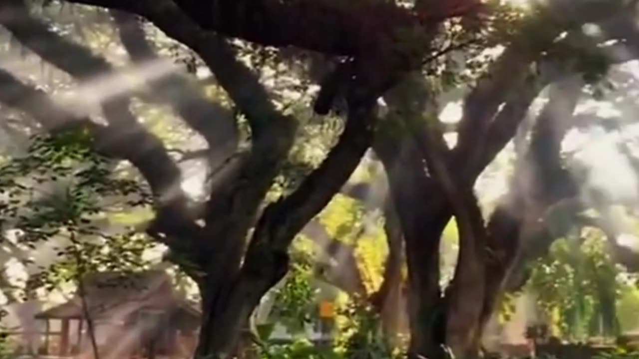Nature is the Purest Portal to Inner-Peace