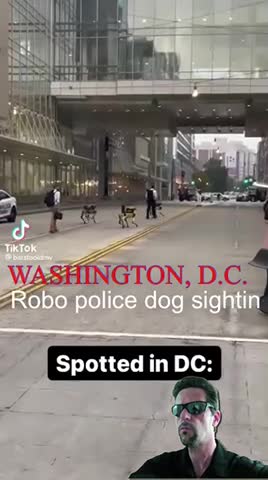 WASHINGTON, D.C. — Yesterday, there was reportedly a robo police dog sighting.