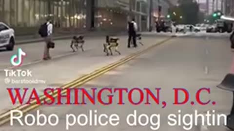 WASHINGTON, D.C. — Yesterday, there was reportedly a robo police dog sighting.