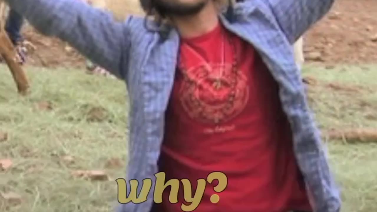 Why oh why?