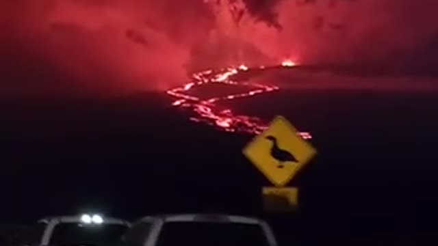 volcano in hawaii, larvae