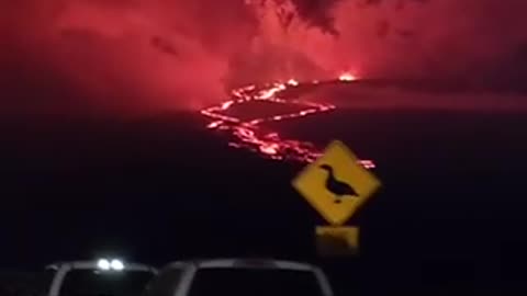 volcano in hawaii, larvae