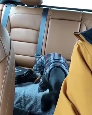 When mom goes to get coffee