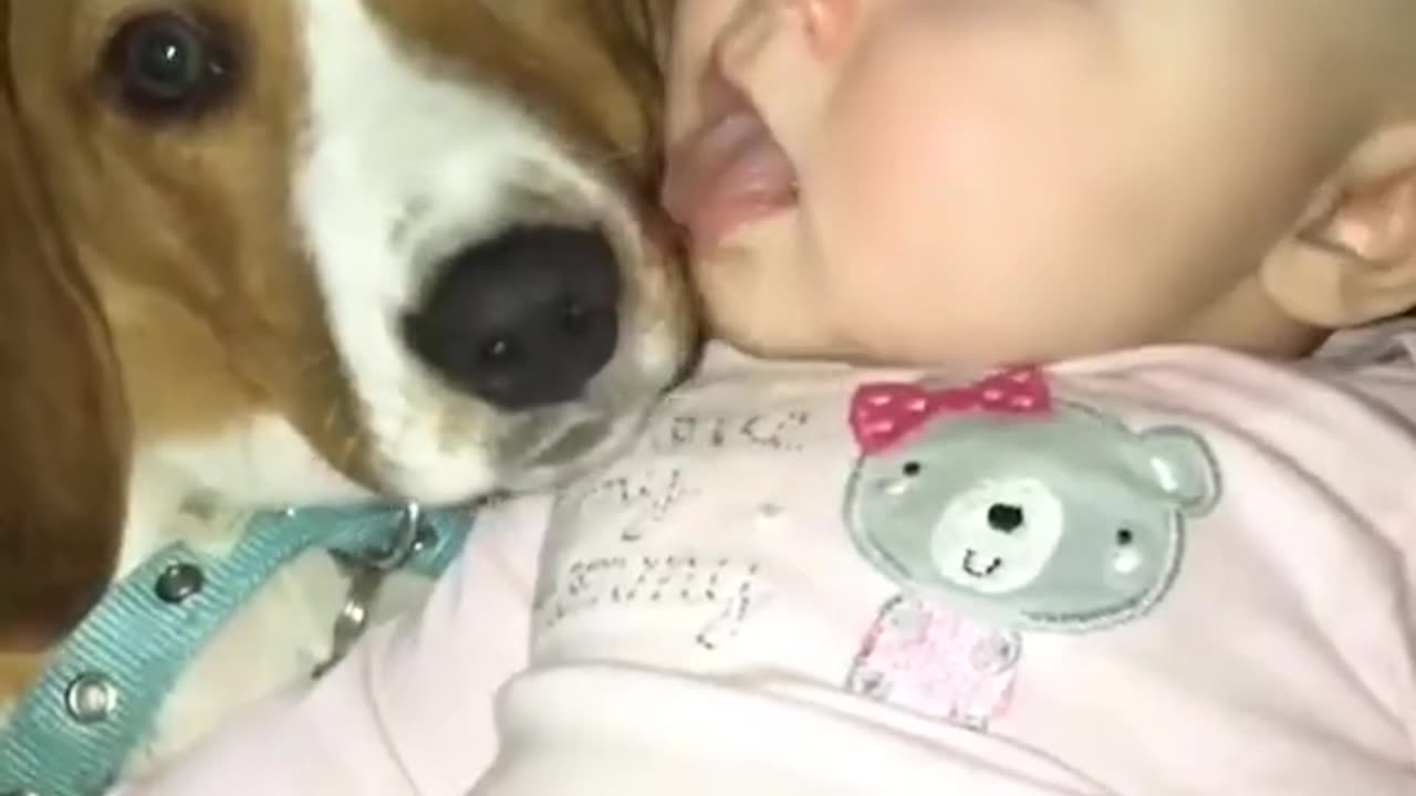 BABY PLAYING WITH A CUTE DOG