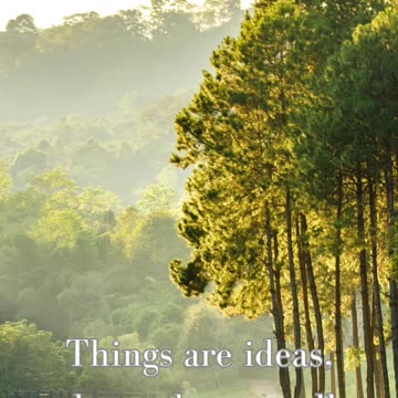 Things Are Ideas