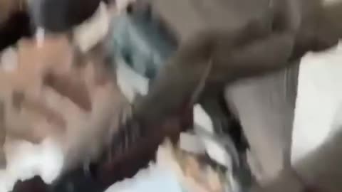 Vicenza, Rissa fra stranieri