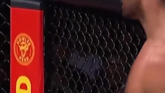 There were some frightening fights this year
