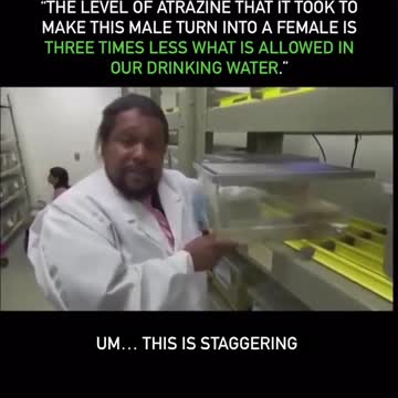 They have been poisoning us for years, the side effects are worrying!