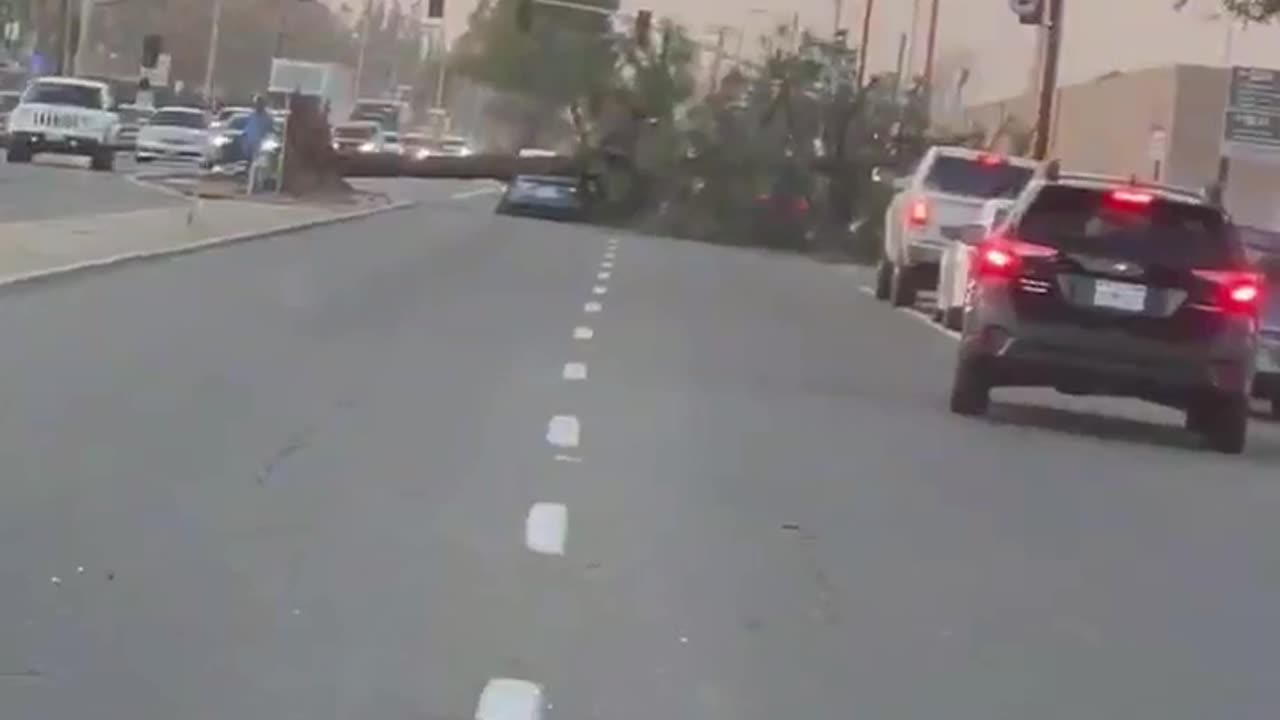 Big tree fell on a car in Fresno