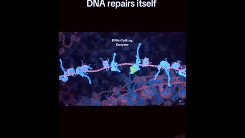 Quantum v. Current - DNA Repair [ MIND BLOWING] (12.21.2024)