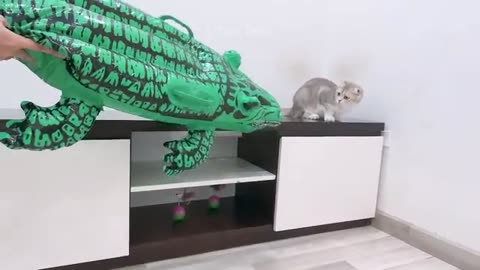cuteness overloaded