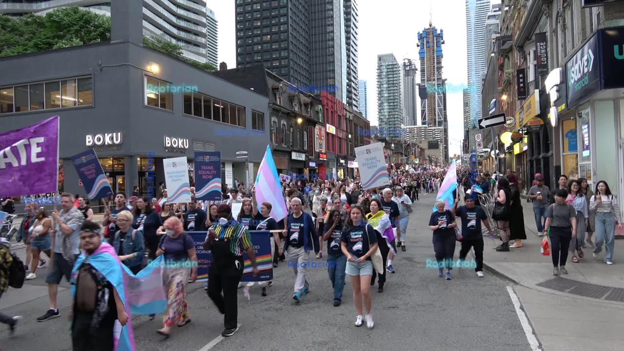 Trans March (turn around following) - Timelapse with organ soundscape