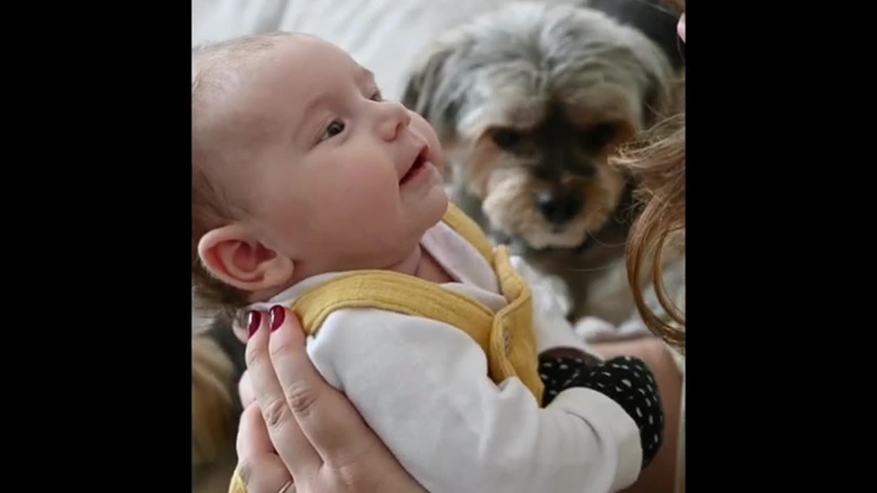 baby video