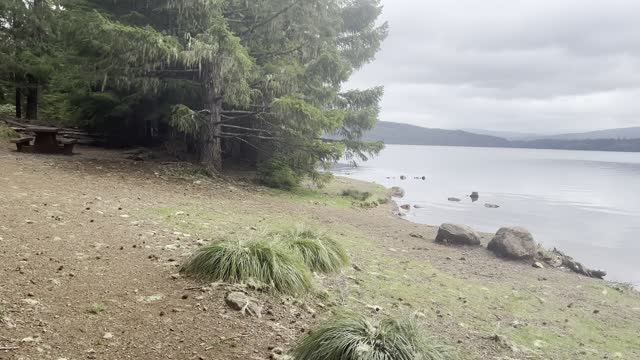 Shoreline Forest Hiking Beautiful Timothy Lake – Mount Hood – Oregon – 4K