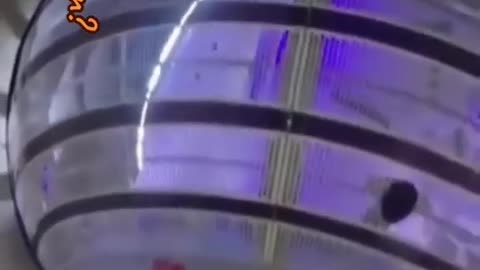 Watch a Med Bed in Action- NOTE there are at least 3 different models for different treatments