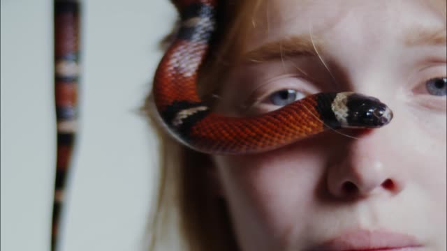 Dangerous snake video