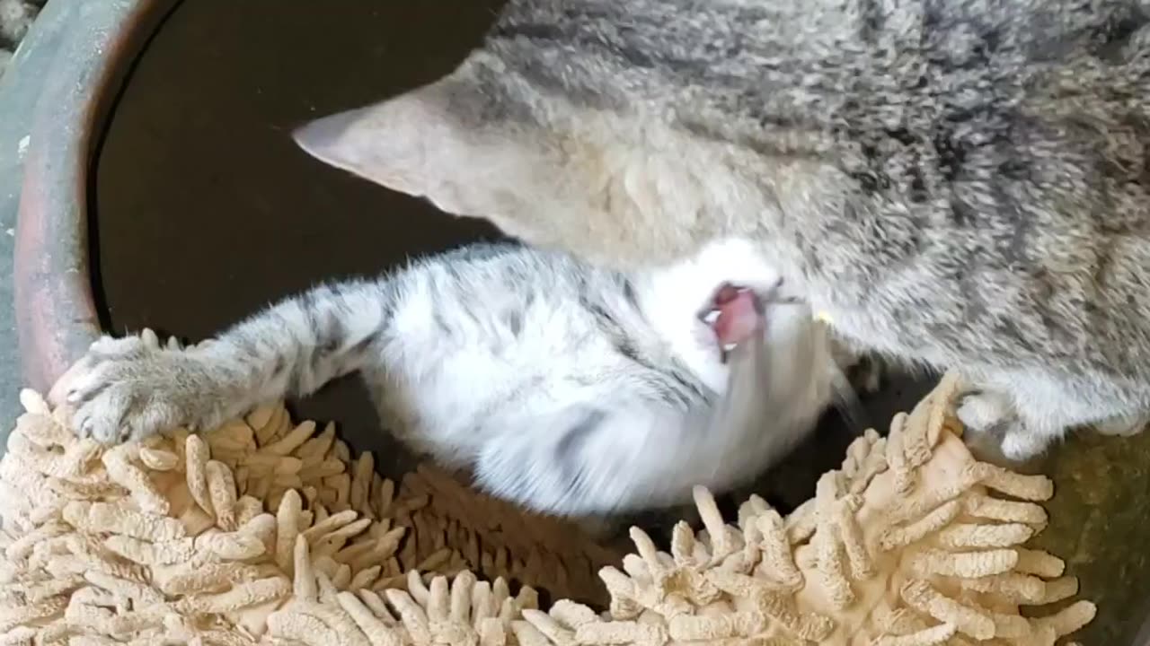 Did it fall? 😮😮😮
