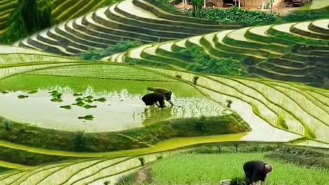 Love Nature