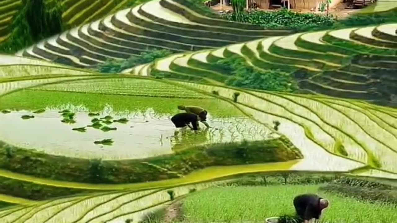 Love Nature