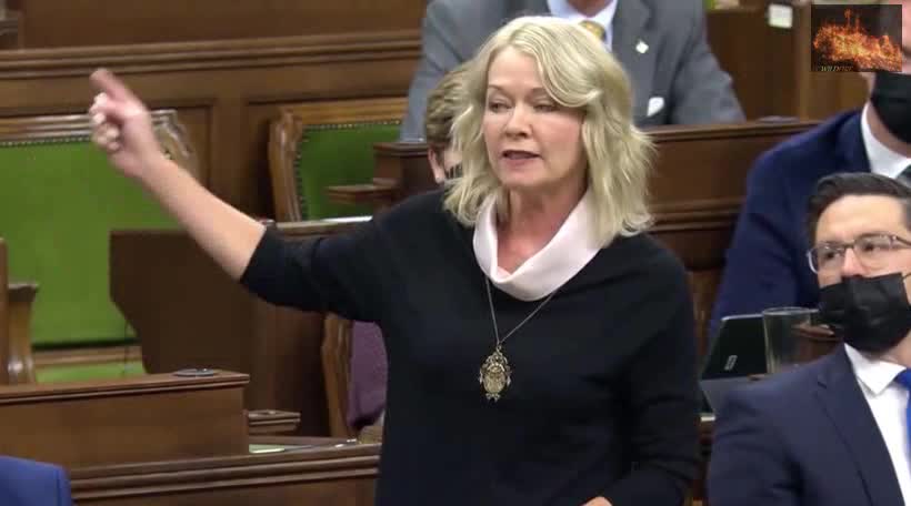 Bergen DEFENDS TRUCKERS vs Trudeau in Parliament