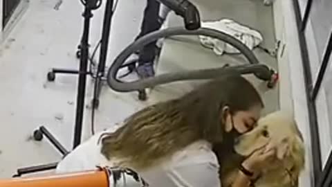 When you love your job