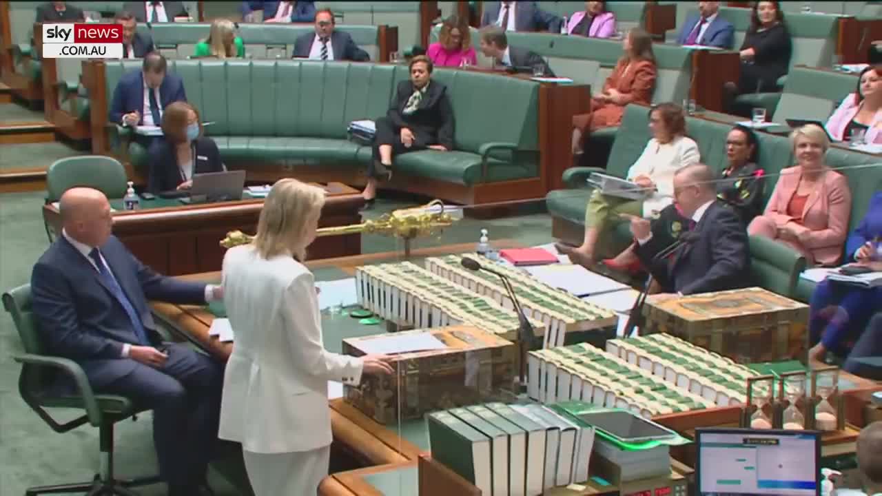 Albanese 'laughs at' and 'puts down' ordinary Australians_ Opposition Leader Sussan Ley