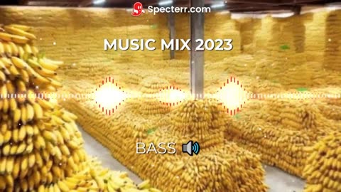 Music 2023