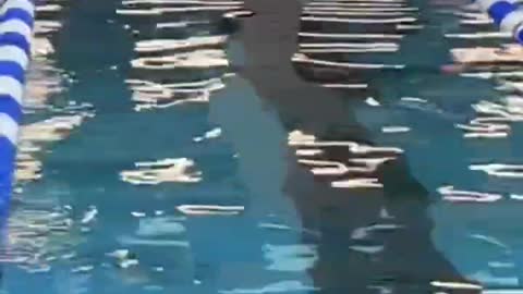 Come può l'uomo ridursi a questo?