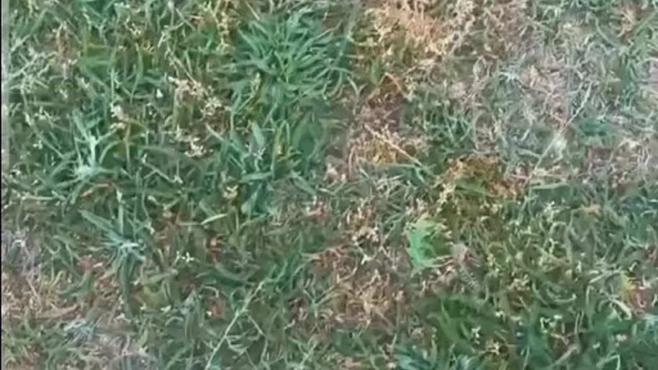 Electricity charging from earth