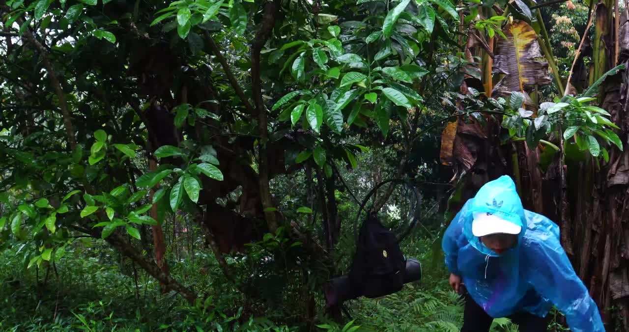 complete great shelter tent in the rain in forest-10