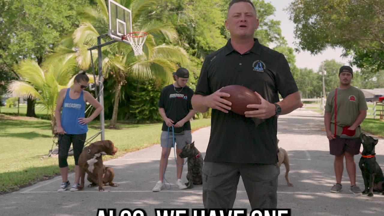 Try to Match NFL Players With Their Dogs